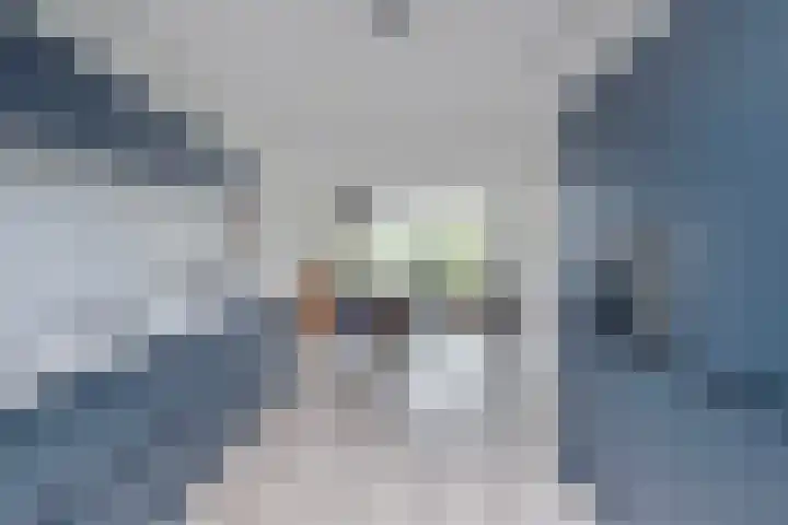 Roedenbergen 3 Diever thumbnail 17