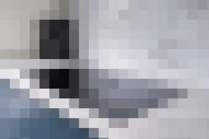 Roedenbergen 3 Diever thumbnail 20