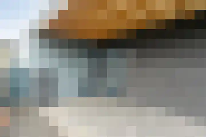 Roedenbergen 3 Diever thumbnail 34