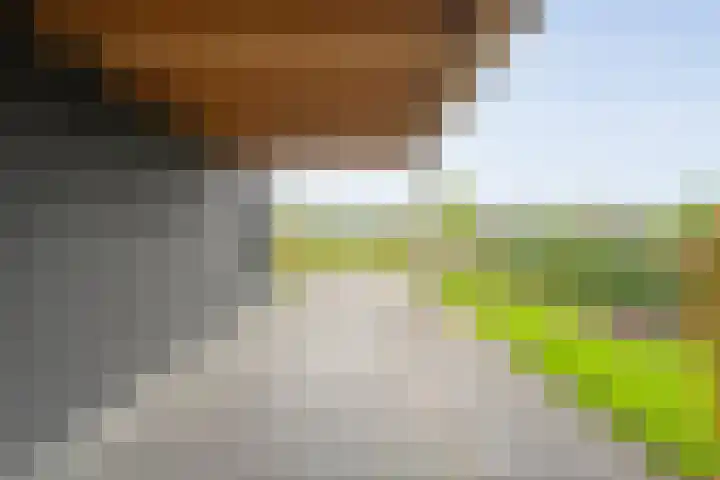 Roedenbergen 3 Diever thumbnail 35