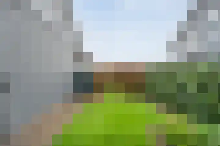 Roedenbergen 3 Diever thumbnail 36