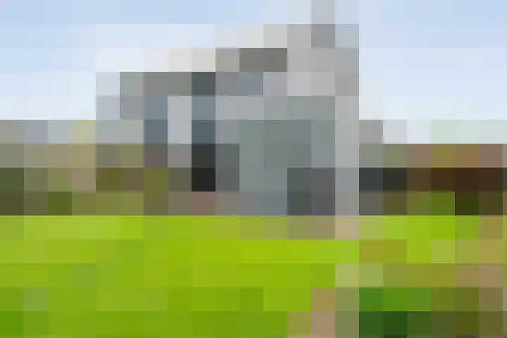 Roedenbergen 3 Diever thumbnail 37