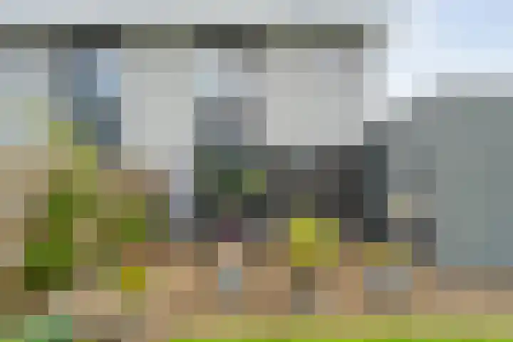 Roedenbergen 3 Diever thumbnail 38