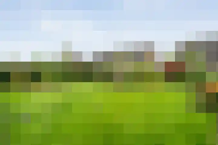 Roedenbergen 3 Diever thumbnail 39