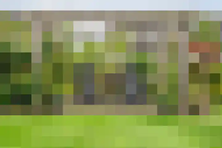 Roedenbergen 3 Diever thumbnail 40