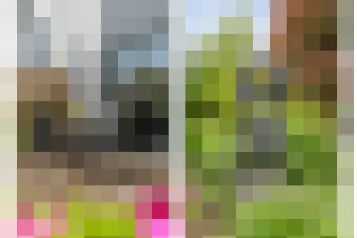 Roedenbergen 3 Diever thumbnail 41