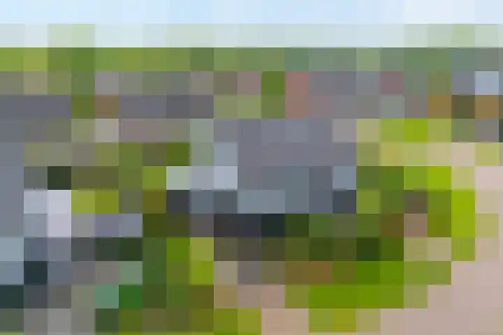 Roedenbergen 3 Diever thumbnail 42