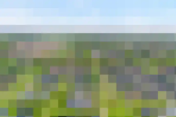Roedenbergen 3 Diever thumbnail 5