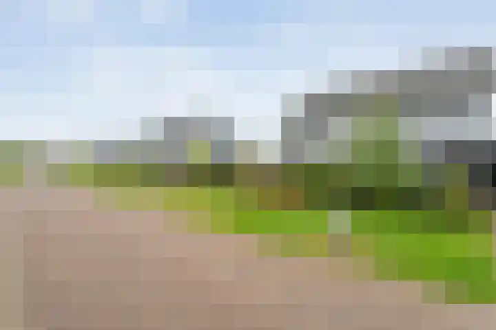 Roedenbergen 3 Diever thumbnail 7