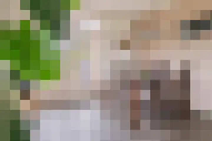 Roedensestraat 25 Horssen thumbnail 11