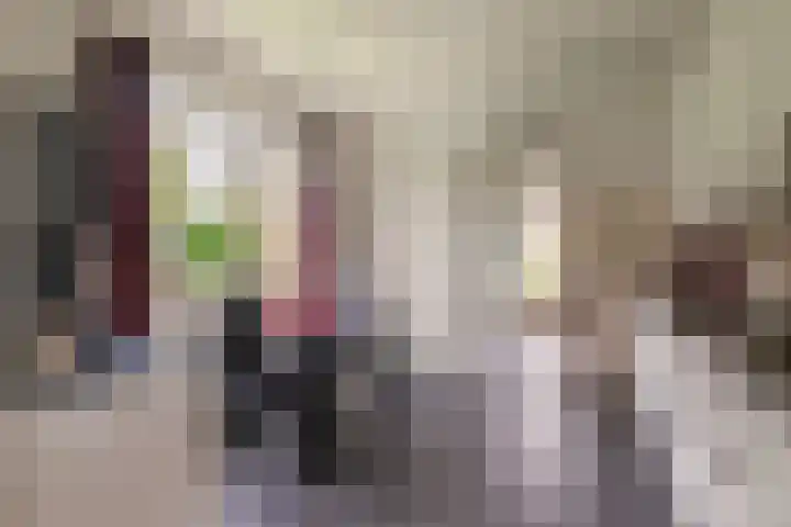 Roedensestraat 25 Horssen thumbnail 14