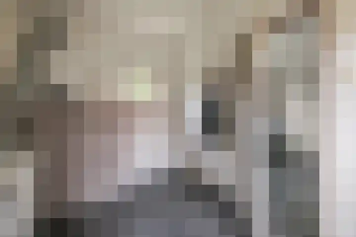 Roedensestraat 25 Horssen thumbnail 16