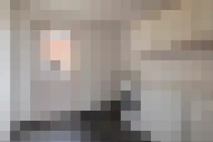 Roedensestraat 25 Horssen thumbnail 17