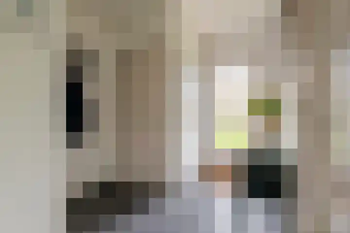 Roedensestraat 25 Horssen thumbnail 18