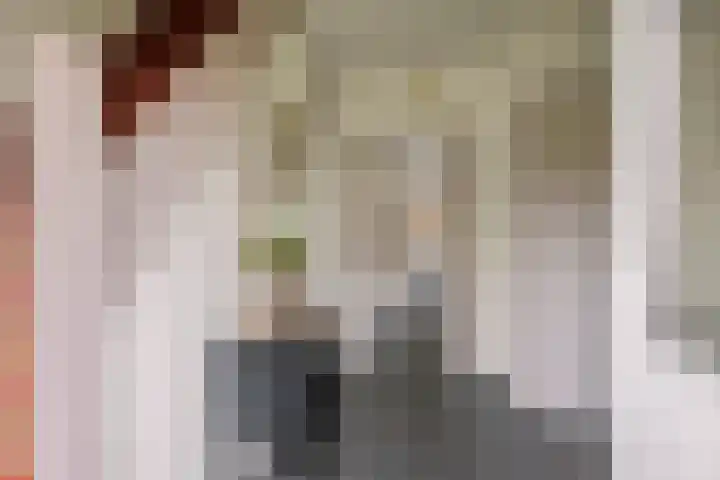 Roedensestraat 25 Horssen thumbnail 20