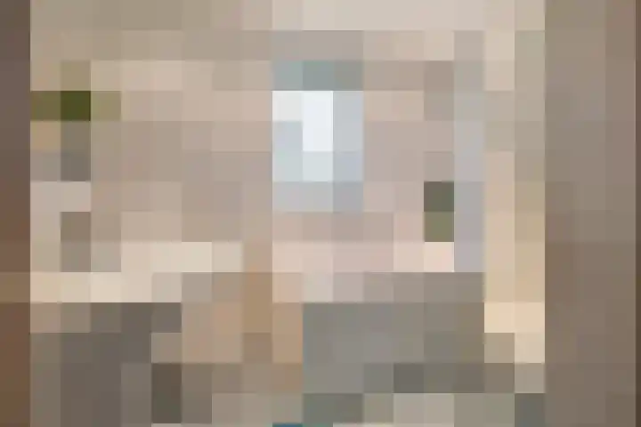 Roedensestraat 25 Horssen thumbnail 24