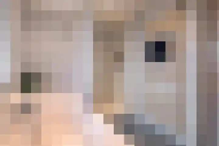 Roedensestraat 25 Horssen thumbnail 25
