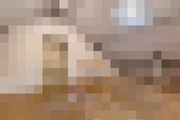 Roedensestraat 25 Horssen thumbnail 32