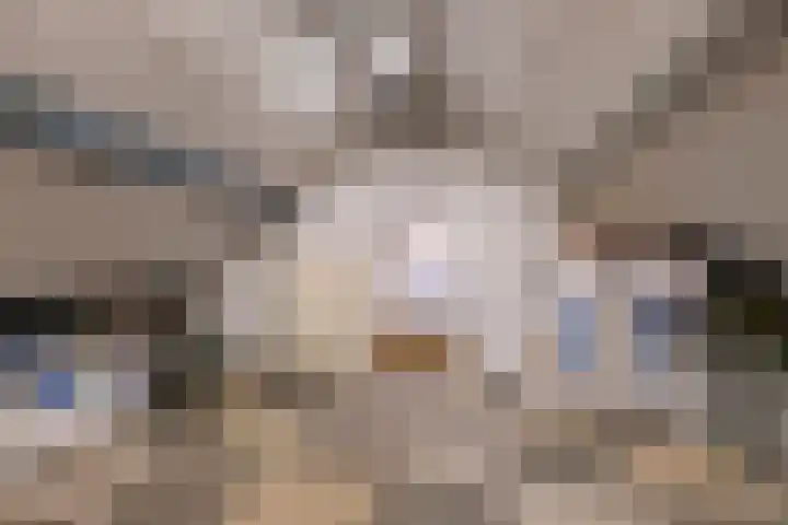 Roedensestraat 25 Horssen thumbnail 33