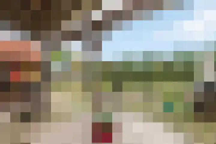 Roedensestraat 25 Horssen thumbnail 34