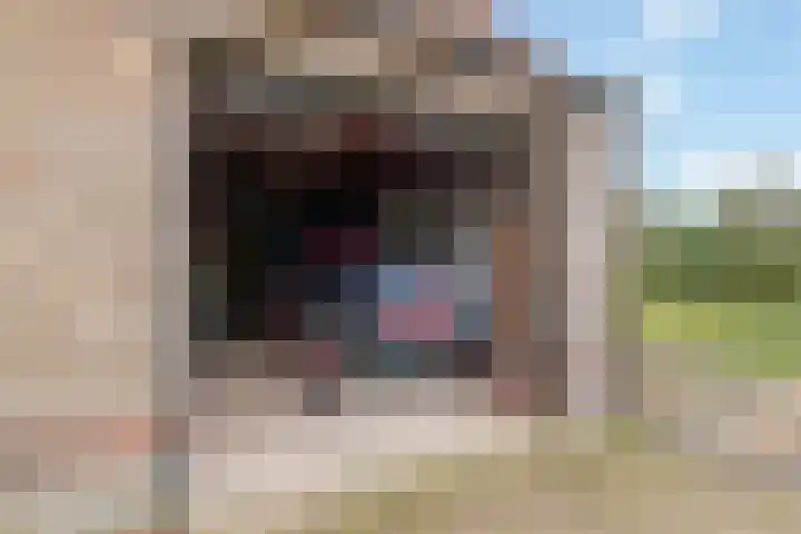 Roedensestraat 25 Horssen thumbnail 38