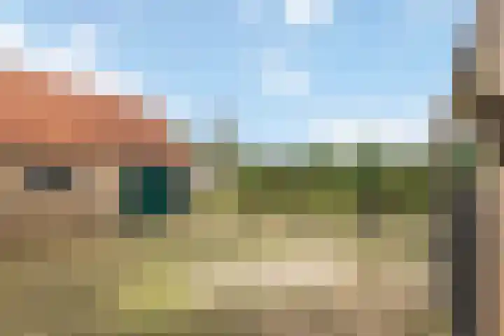 Roedensestraat 25 Horssen thumbnail 4