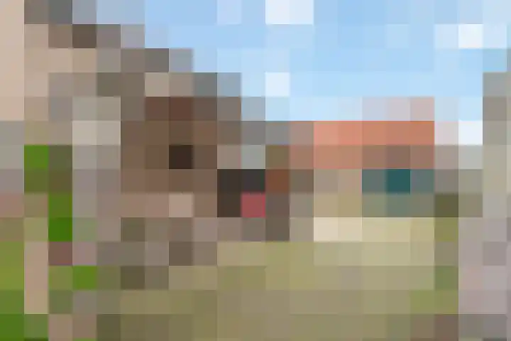 Roedensestraat 25 Horssen thumbnail 40