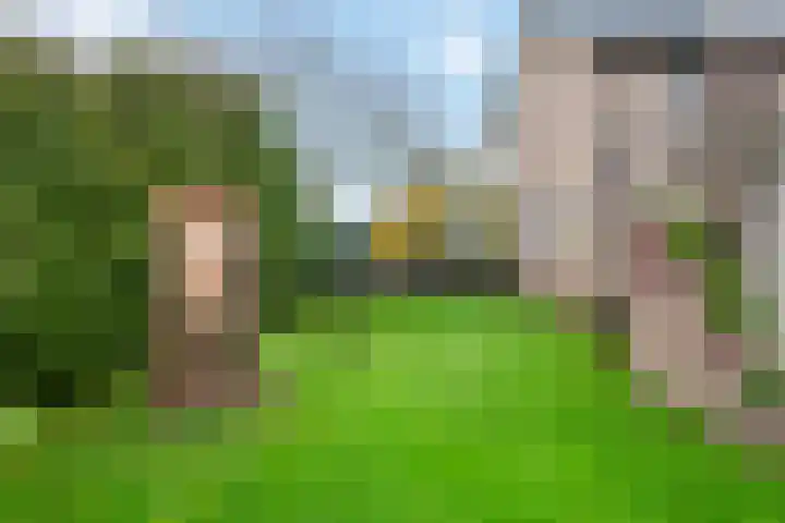 Roedensestraat 25 Horssen thumbnail 42