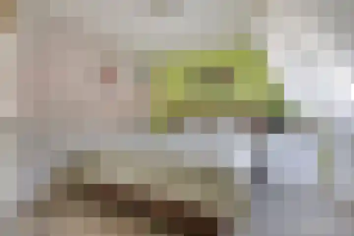 Roedestraat 43 Purmerend thumbnail 13