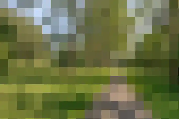 Roedestraat 43 Purmerend thumbnail 27