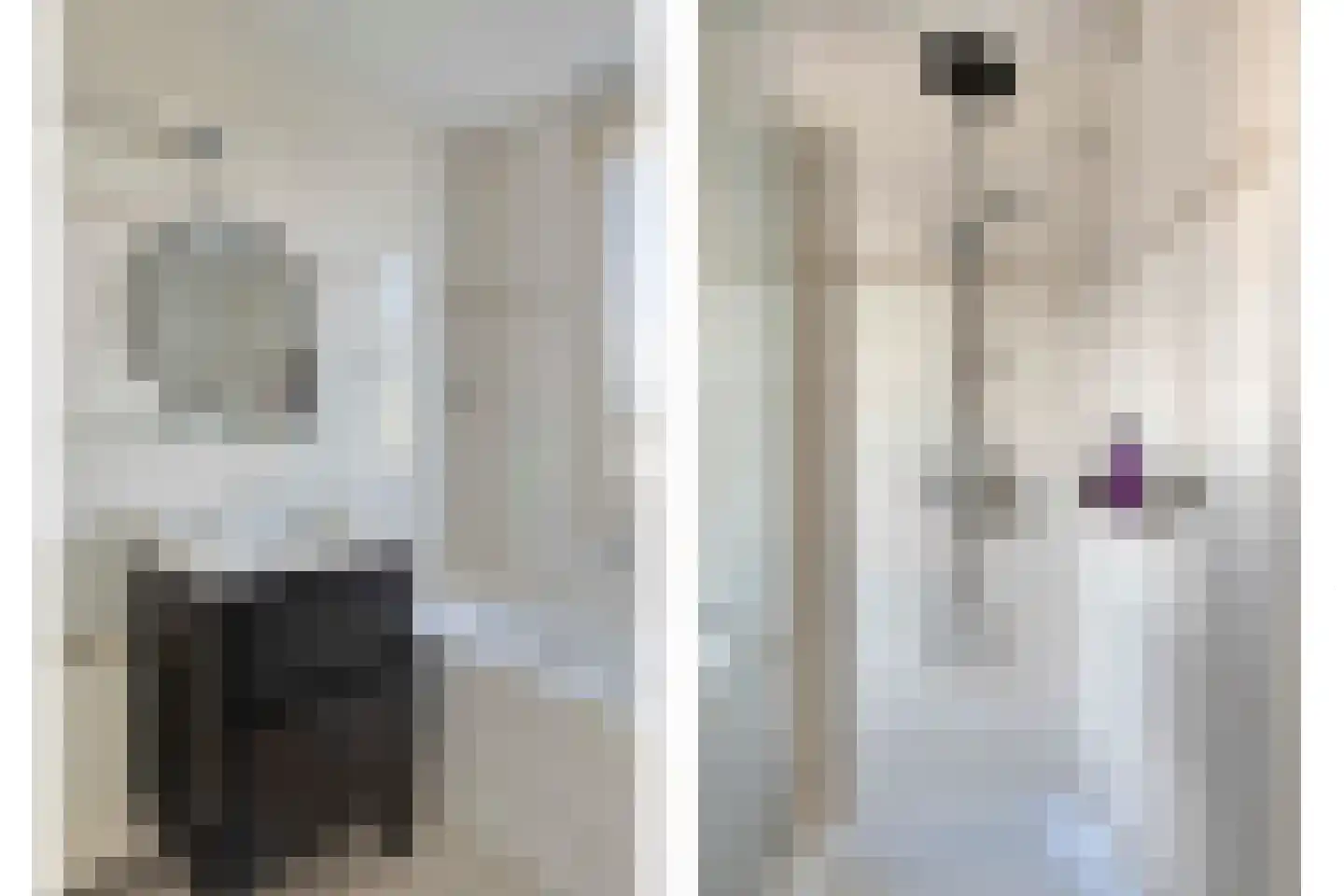 Roedje Ghielenstraat 11 Beringe thumbnail 29