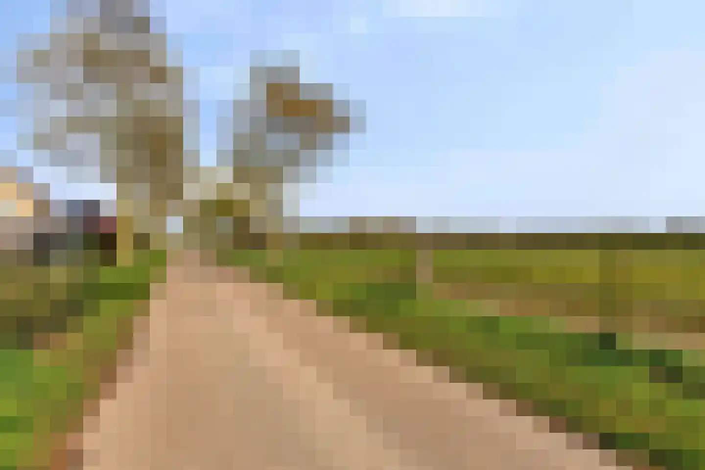 Roedje Ghielenstraat 11 Beringe thumbnail 45