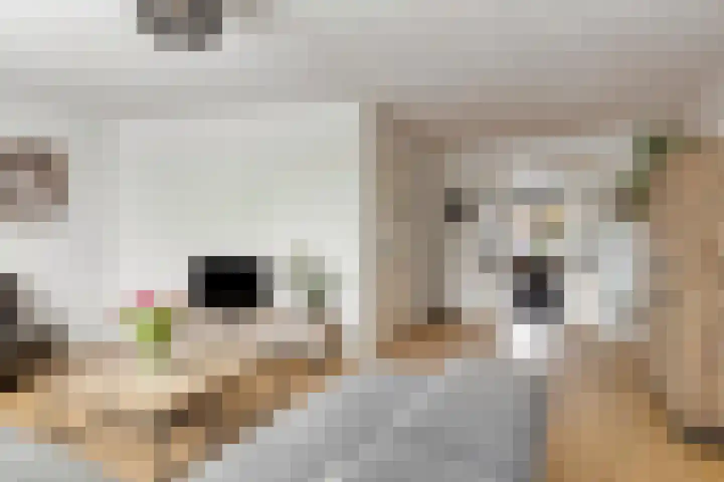Roedje Ghielenstraat 11 Beringe thumbnail 7