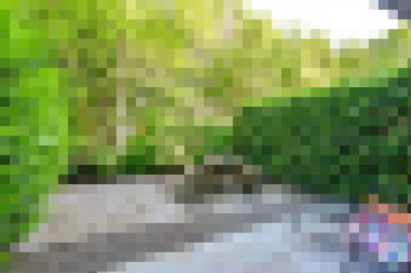 Roef 14 Almere thumbnail 11
