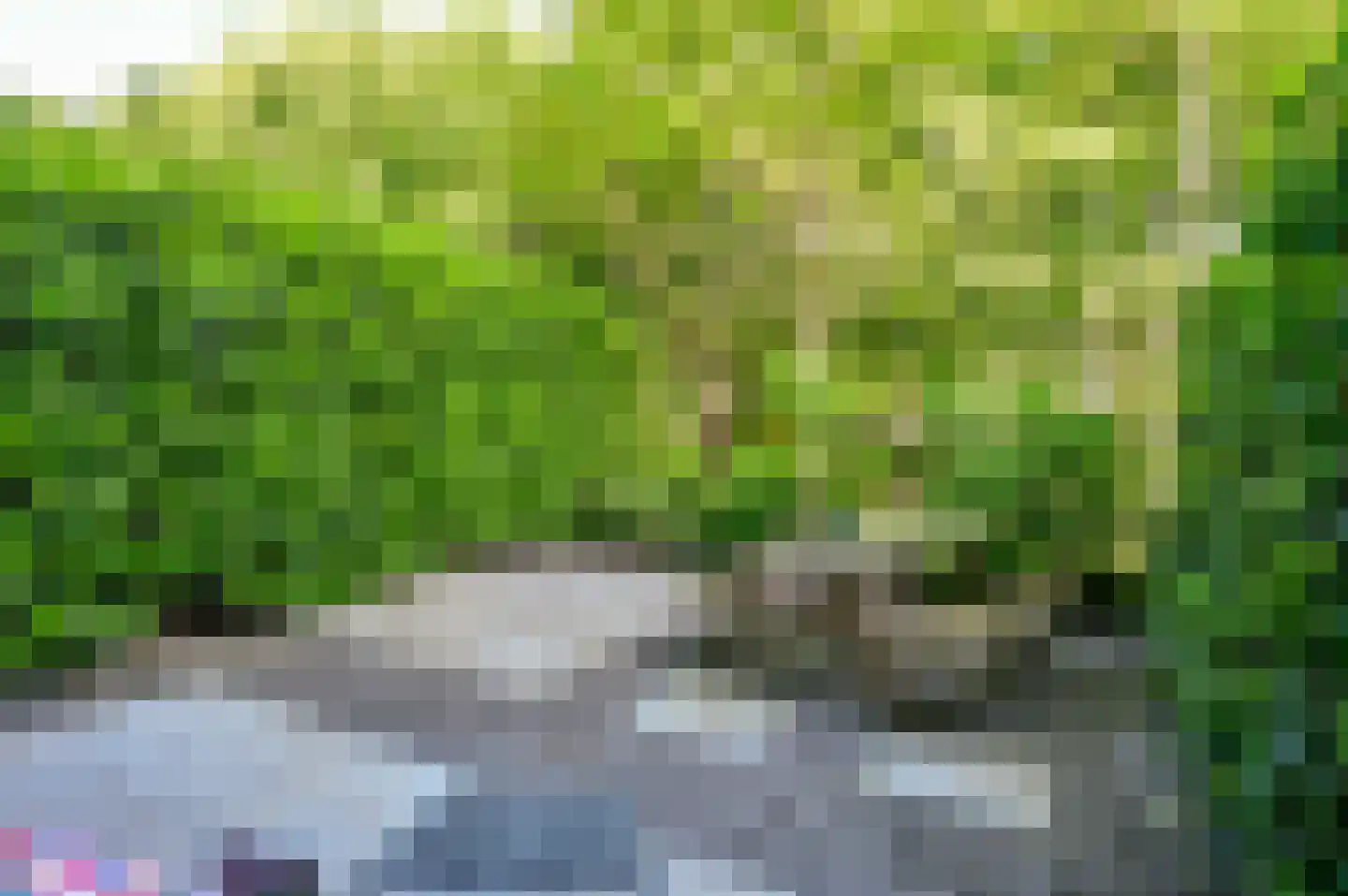 Roef 14 Almere thumbnail 12