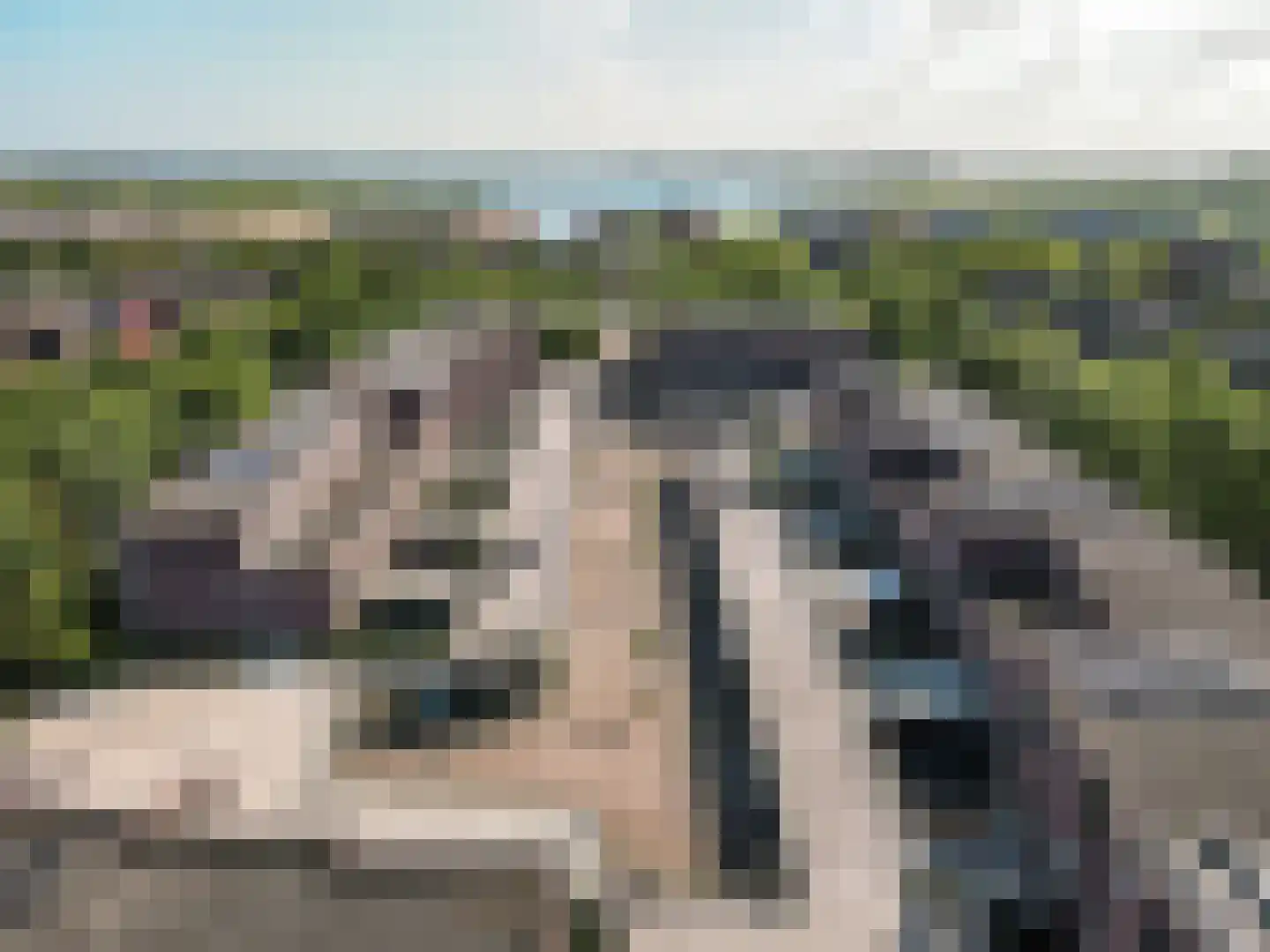 Roef 14 Almere thumbnail 45
