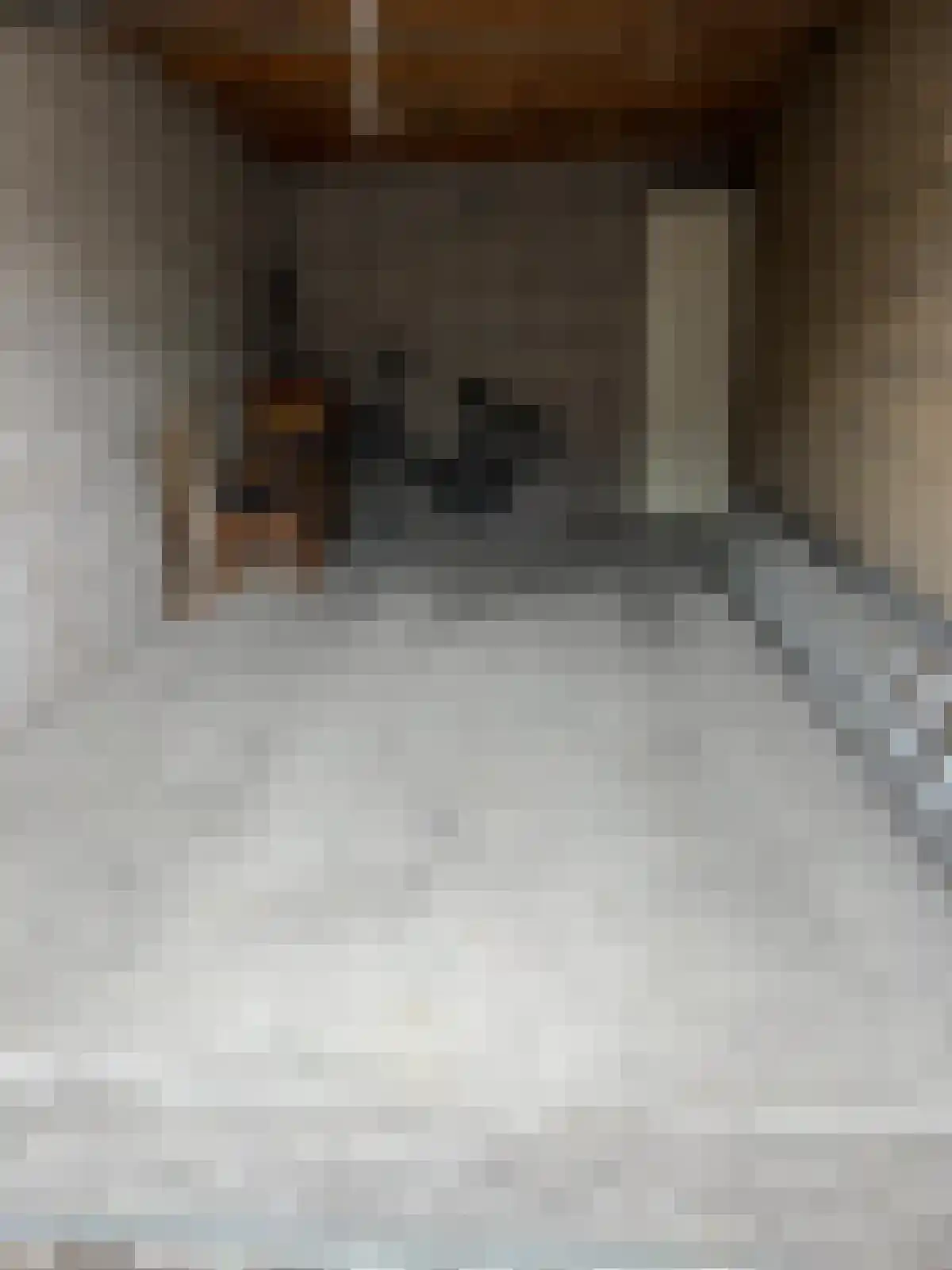 Roef 22 Huizen thumbnail 4