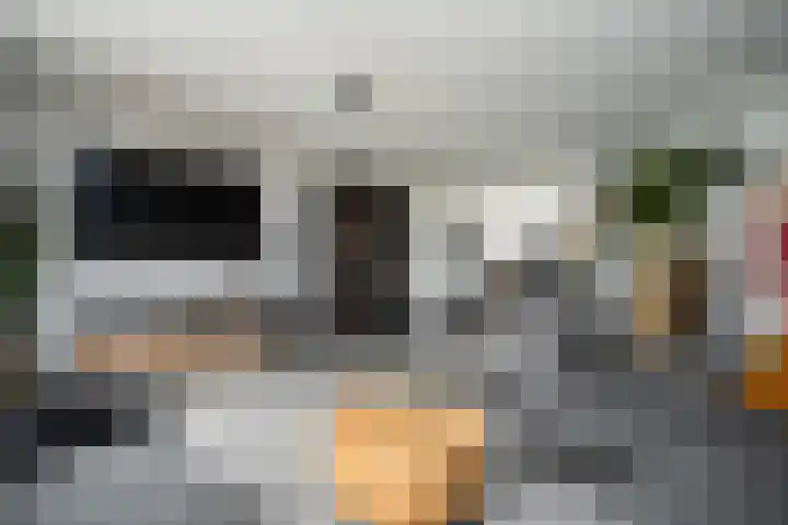 Roef 49 Meppel foto 2