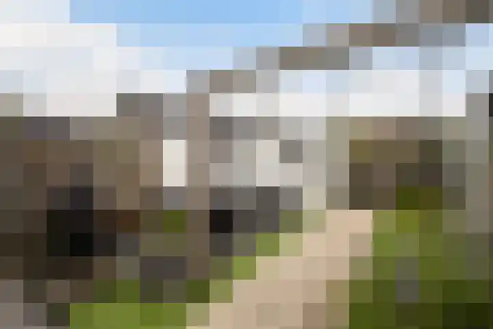 Roef 49 Meppel thumbnail 26