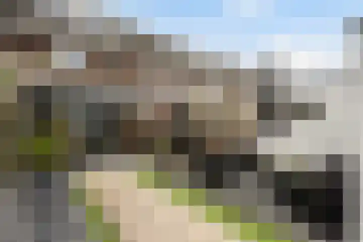 Roef 49 Meppel thumbnail 4