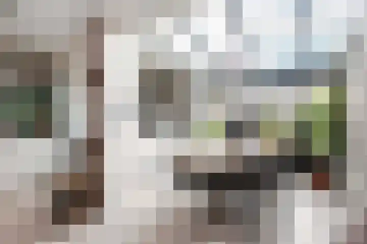 Roef 6 Wijk bij Duurstede thumbnail 11
