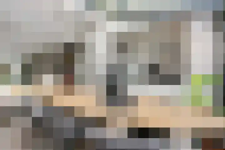 Roef 6 Wijk bij Duurstede thumbnail 13