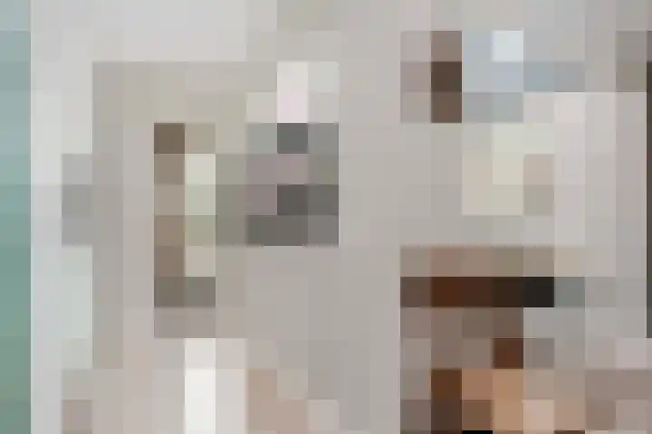 Roef 6 Wijk bij Duurstede thumbnail 15