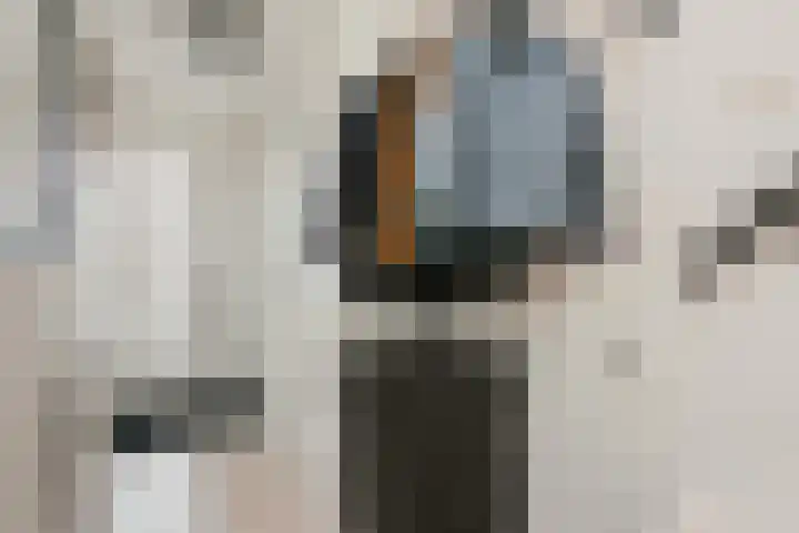 Roef 6 Wijk bij Duurstede thumbnail 17