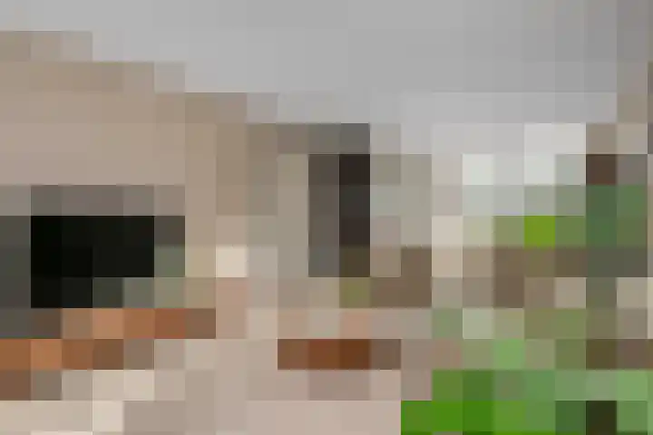 Roef 6 Wijk bij Duurstede foto 2