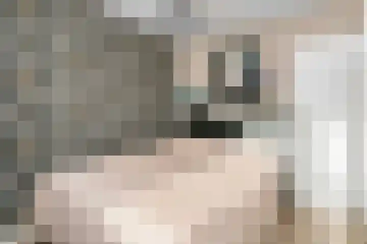 Roef 6 Wijk bij Duurstede thumbnail 20