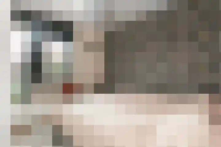 Roef 6 Wijk bij Duurstede thumbnail 21