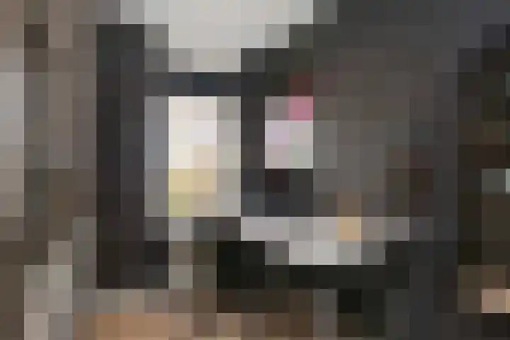 Roef 6 Wijk bij Duurstede thumbnail 25