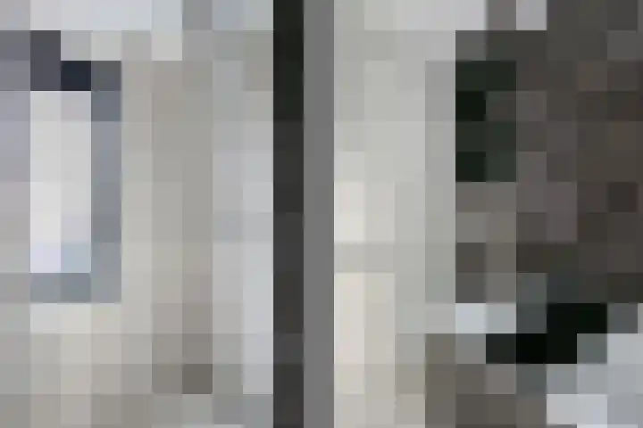 Roef 6 Wijk bij Duurstede thumbnail 27