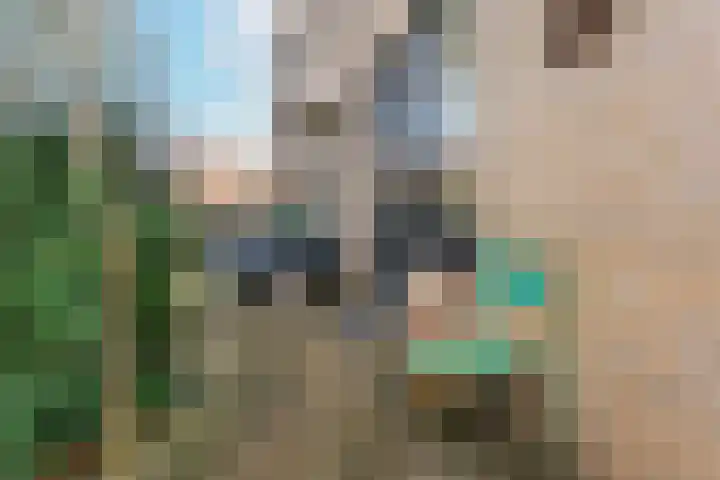 Roef 6 Wijk bij Duurstede thumbnail 4